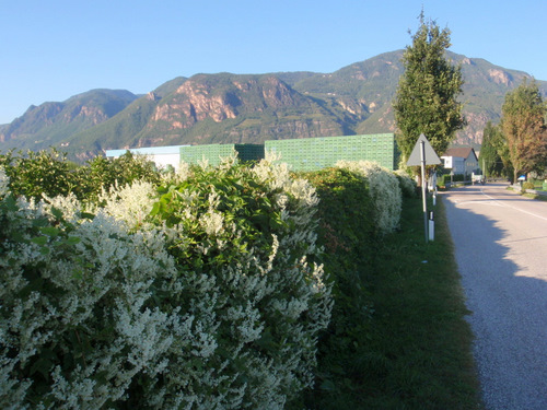 Look at the size of the Apple Processing Plant.